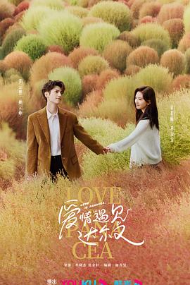 邹平县网站建设优化策略